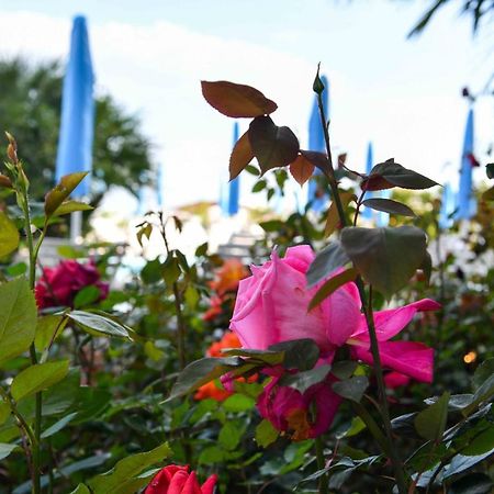 Hotel Majestic Lido di Jesolo Zewnętrze zdjęcie